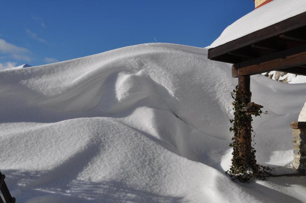 Alpen Apartments Austria Berwang Dış mekan fotoğraf
